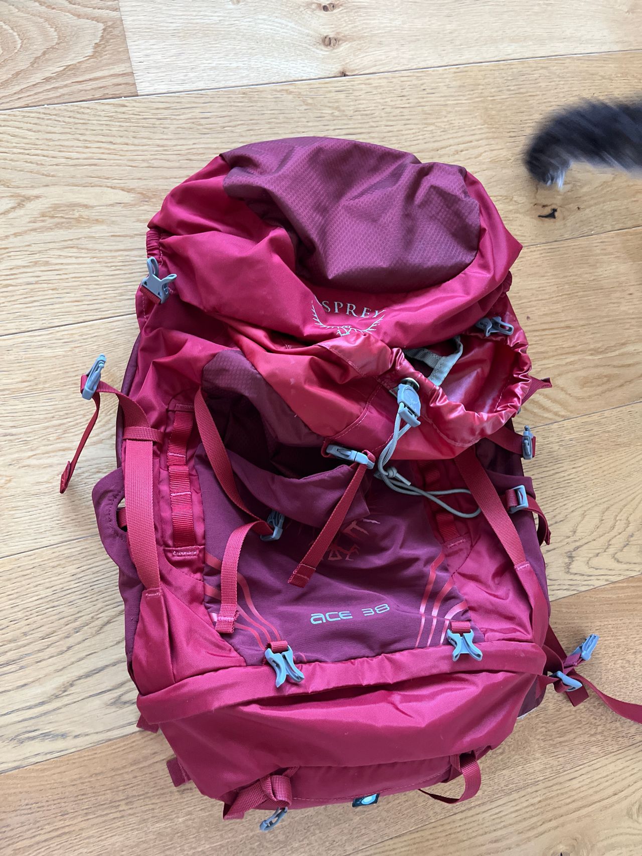 Osprey ace 38 online