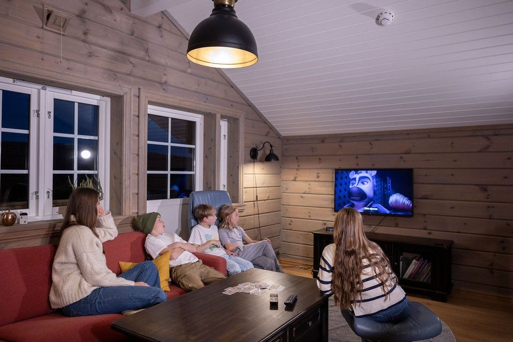 TV i loftsstua Galleribilde