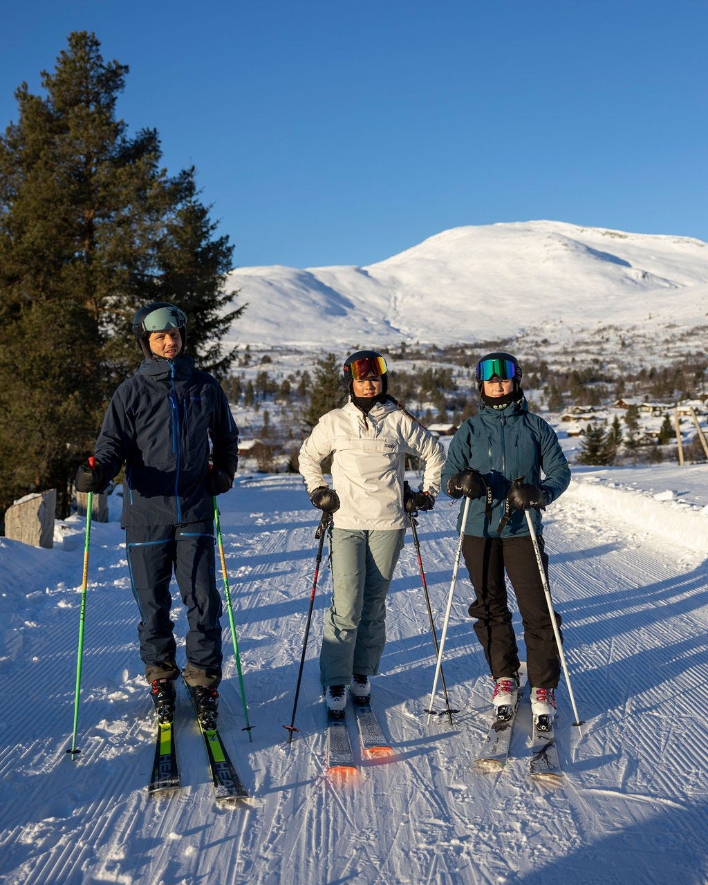 Rett i bakken fra hytta Galleribilde