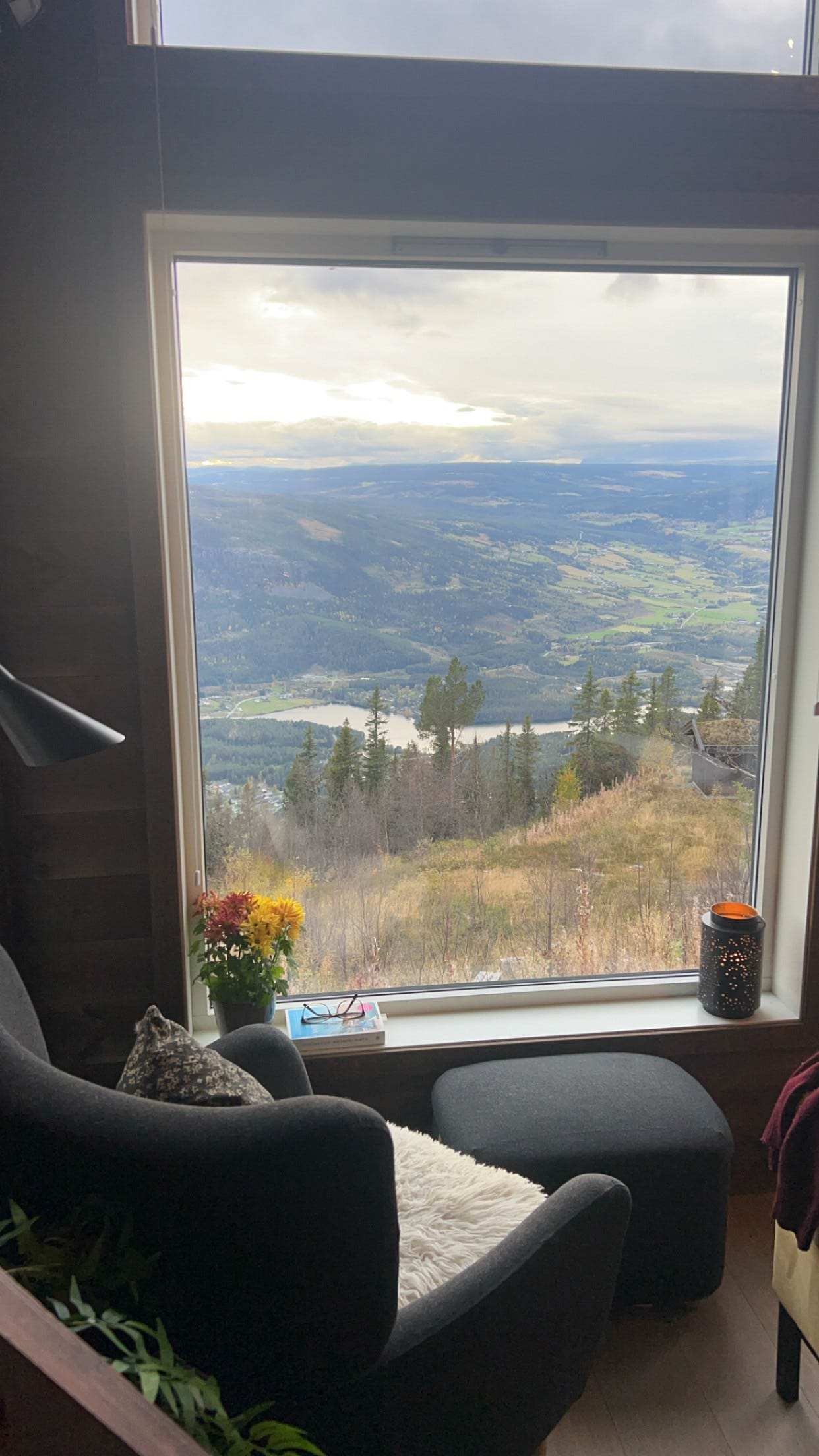 Lesekrok m/utsikt Galleribilde