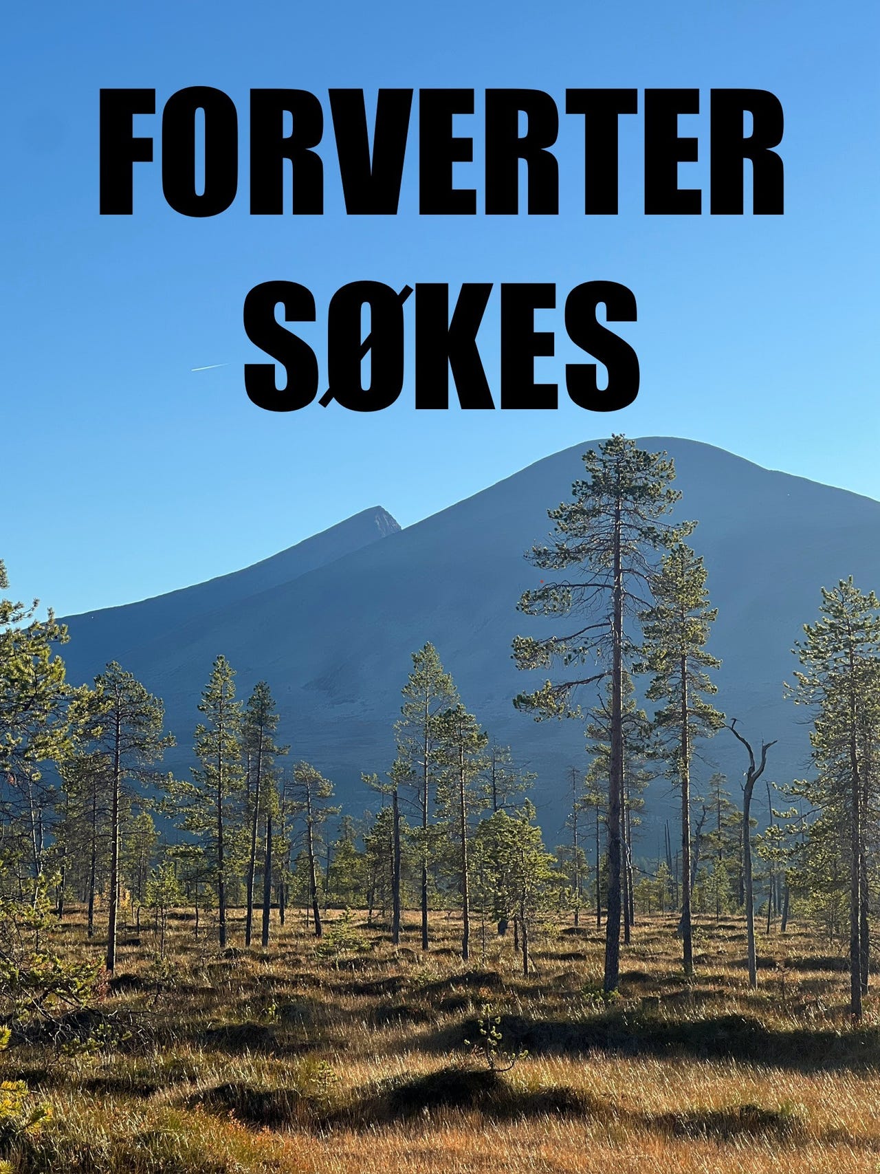 Vorstehhund strihåret