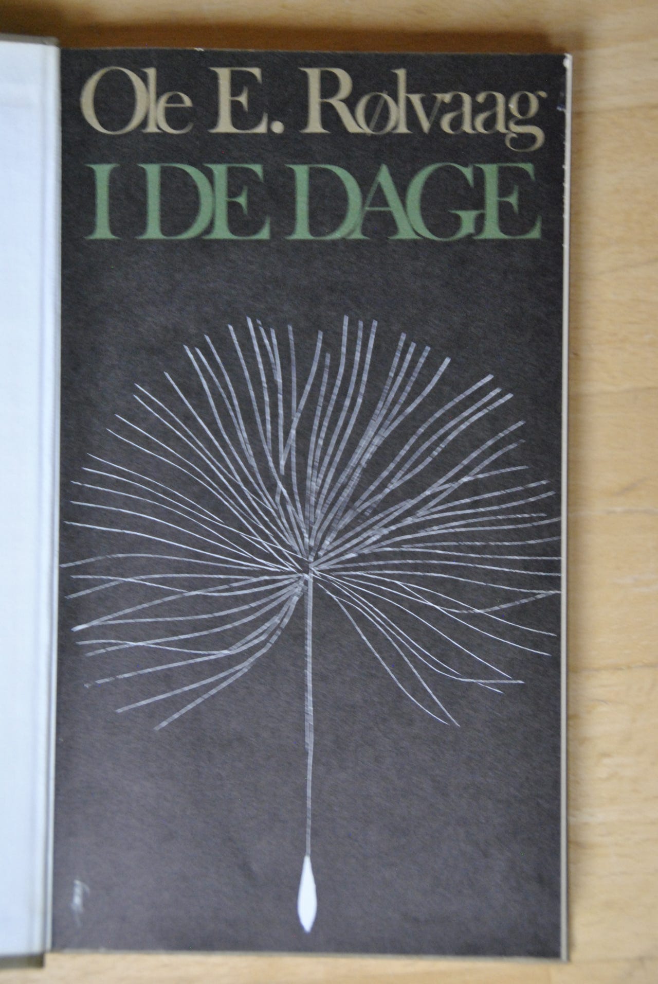 I de dage ole e r lvaag innb finn torget