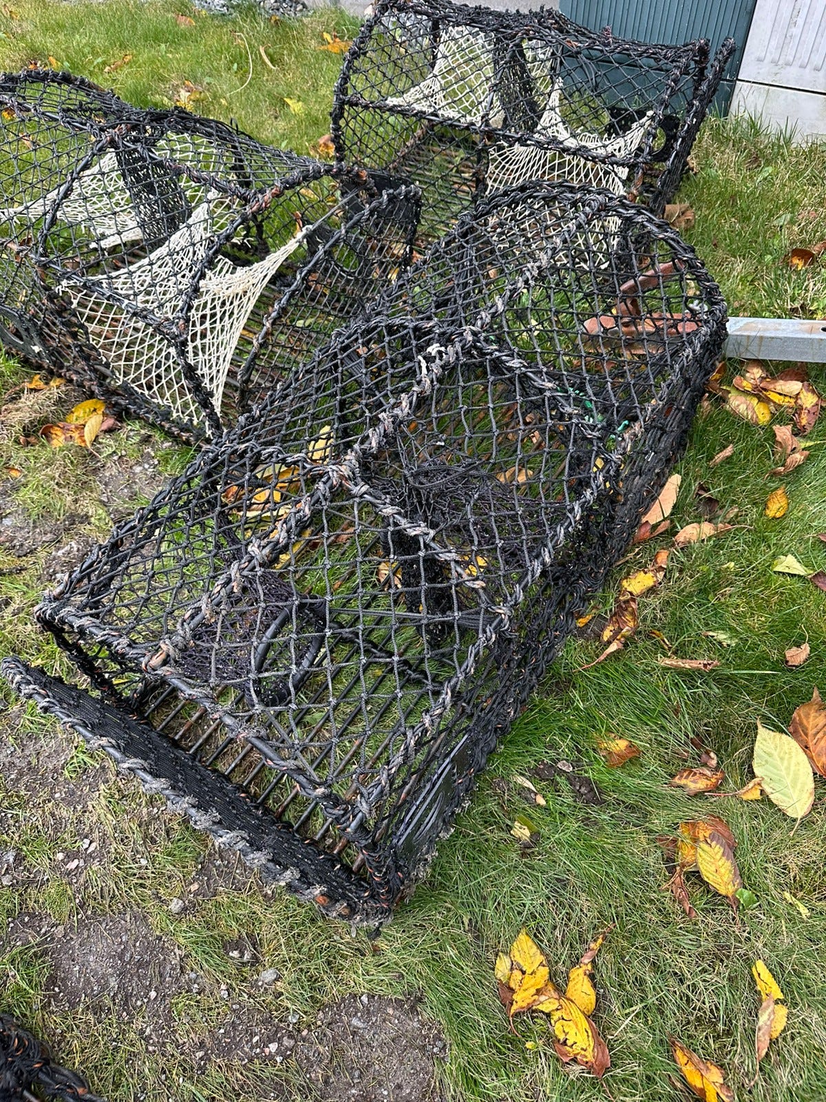 Teiner | FINN-torget