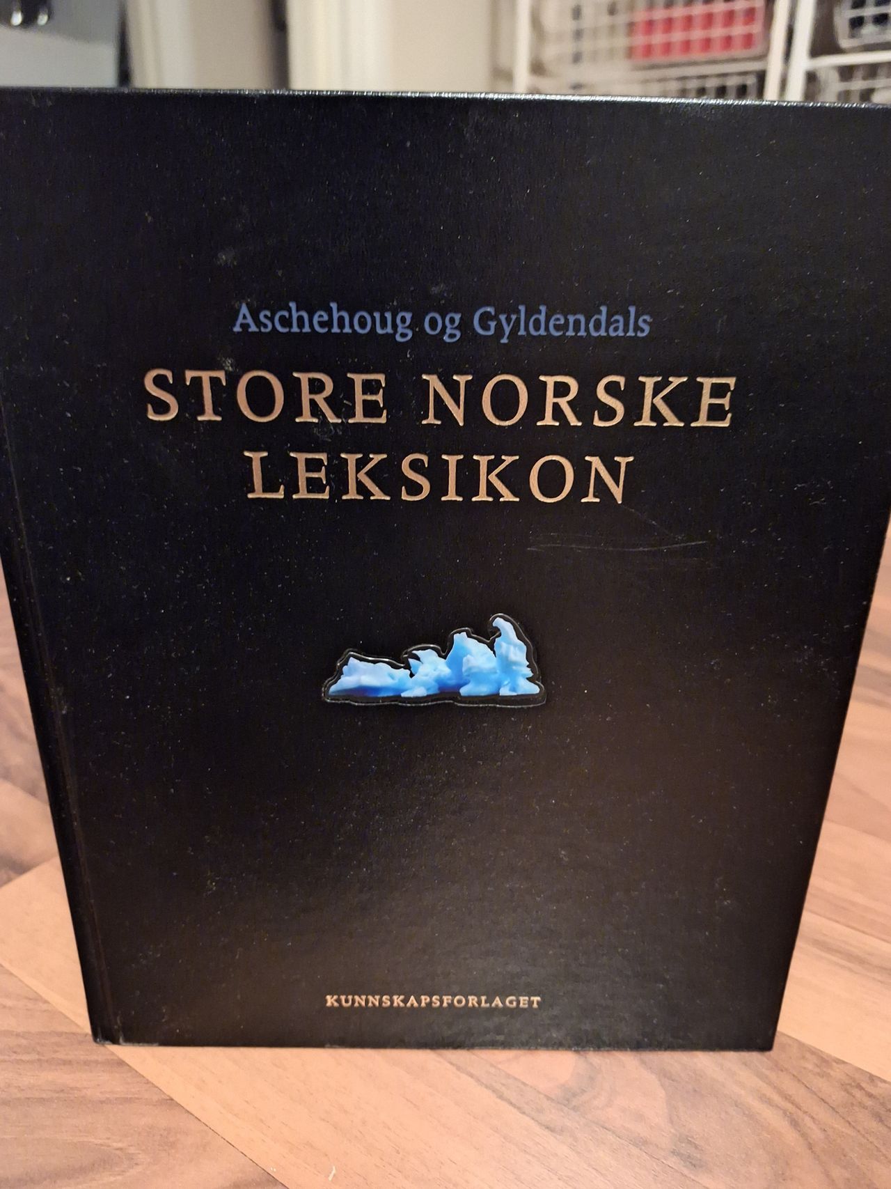 Aschehoug Og Gyldendals Store Norske Leksikon | FINN-torget