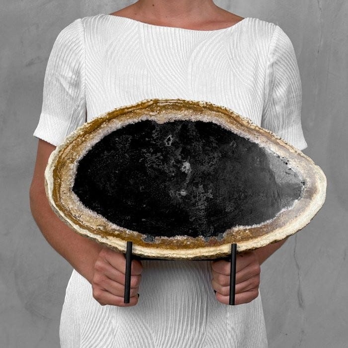 C Fantastisk Stor Skive Forstenet Palmerot P Et Tilpasset Stativ C Fantastisk Stor Skive Forstenet Palmerot P Et Tilpasset Stativ