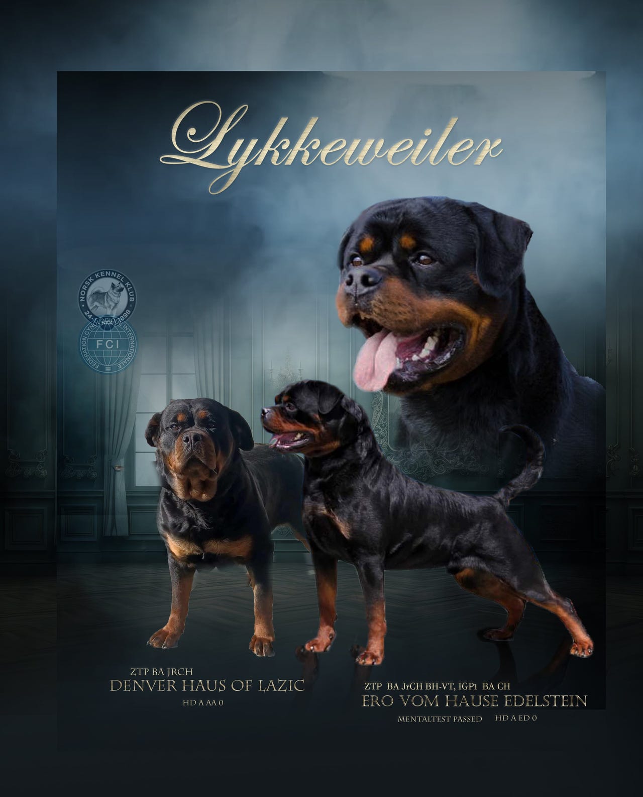 Rottweiler