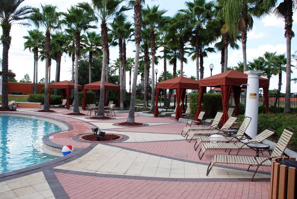 Solsenger på rekke og rad Galleribilde