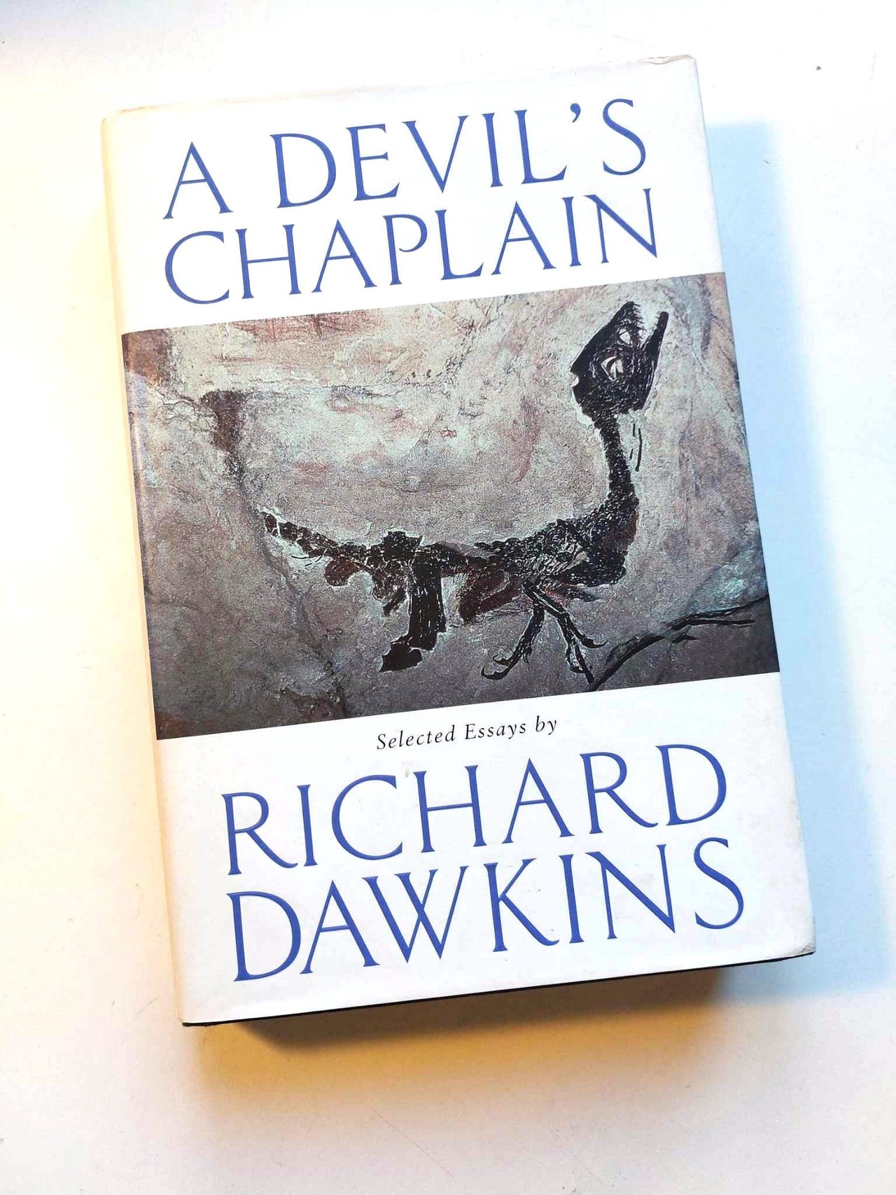 A DEVIL'S CHAPLAIN - Essays by Richard Dawkins (Innbundet, Strøken ...