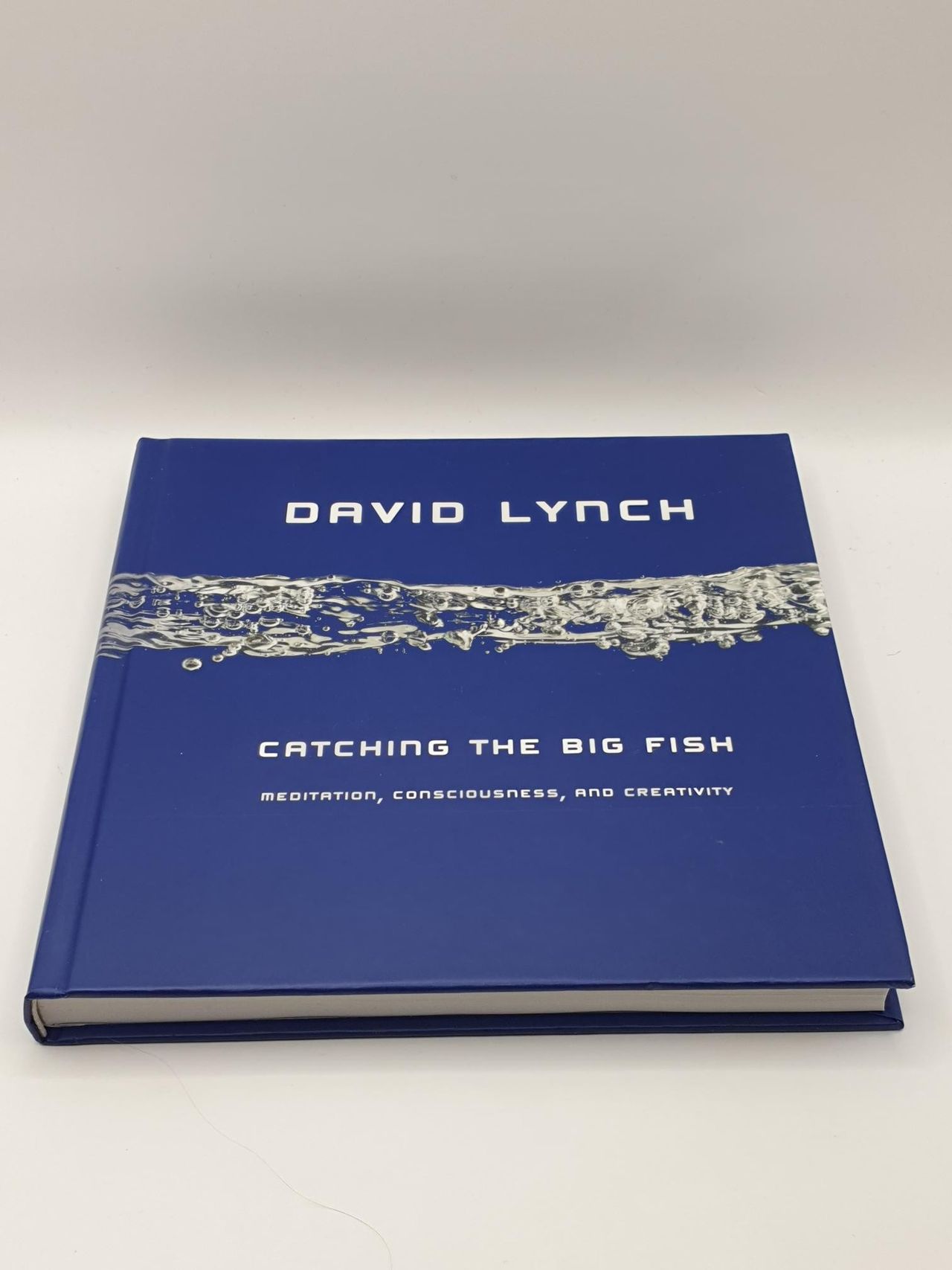 Catching the big fish - David Lynch