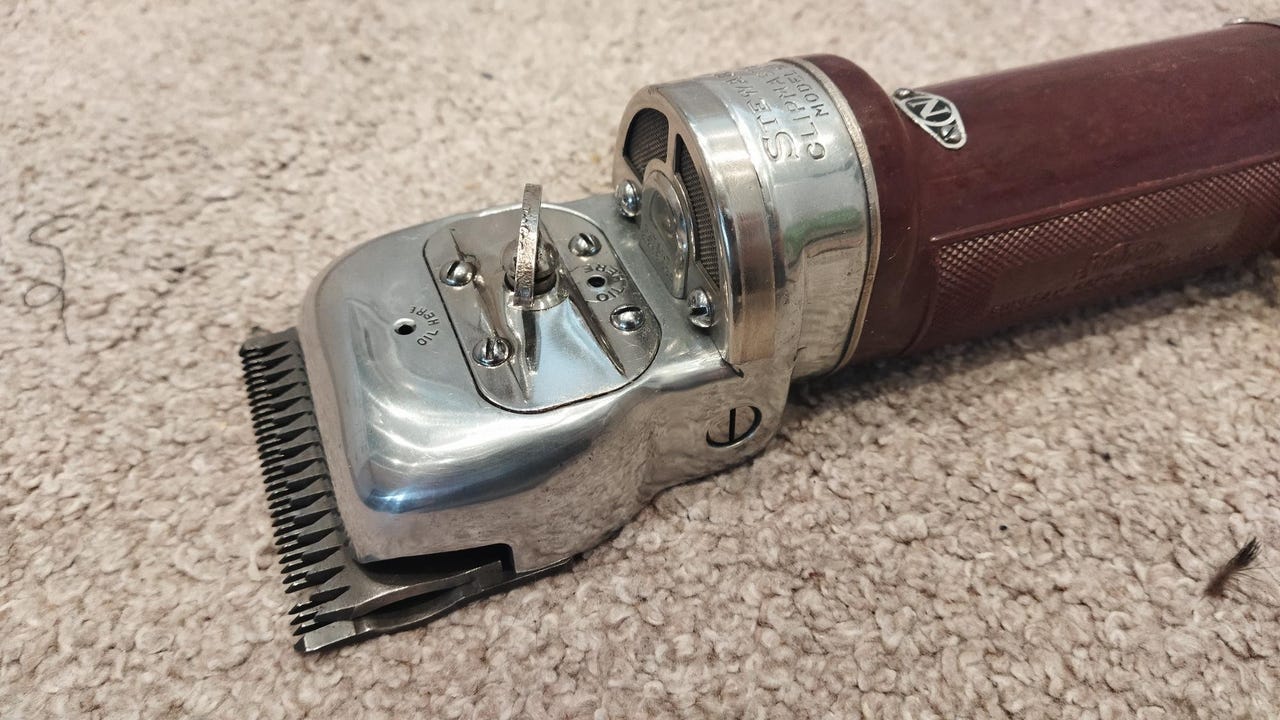 Oster Tondeuse pour grands animaux, vitesse variable Showmaster