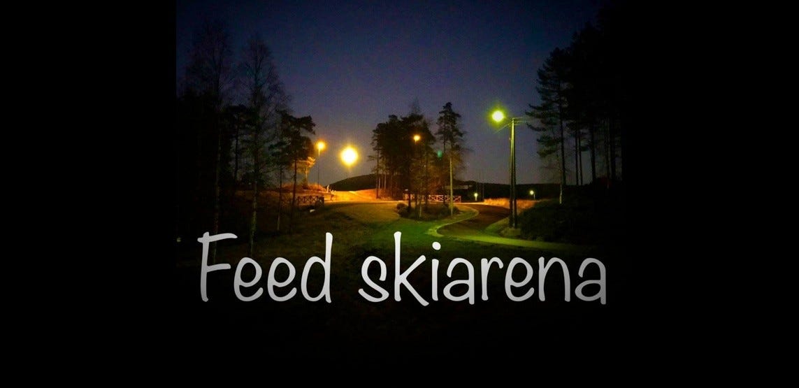Feed Skiarena Galleribilde