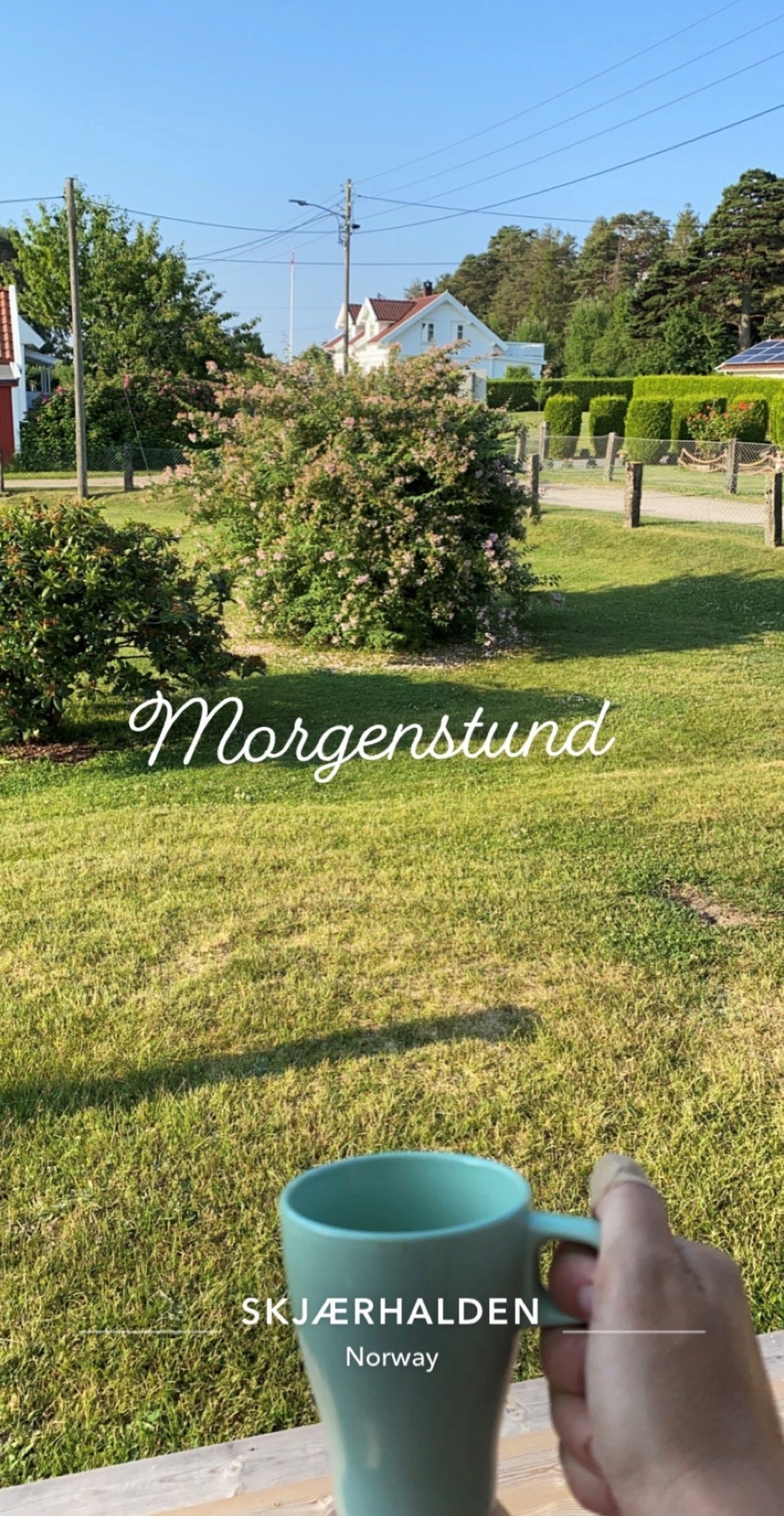 Stor hage med gode muligheter for avslapping, men også lek og moro. Gode solforhold hele dagen Galleribilde
