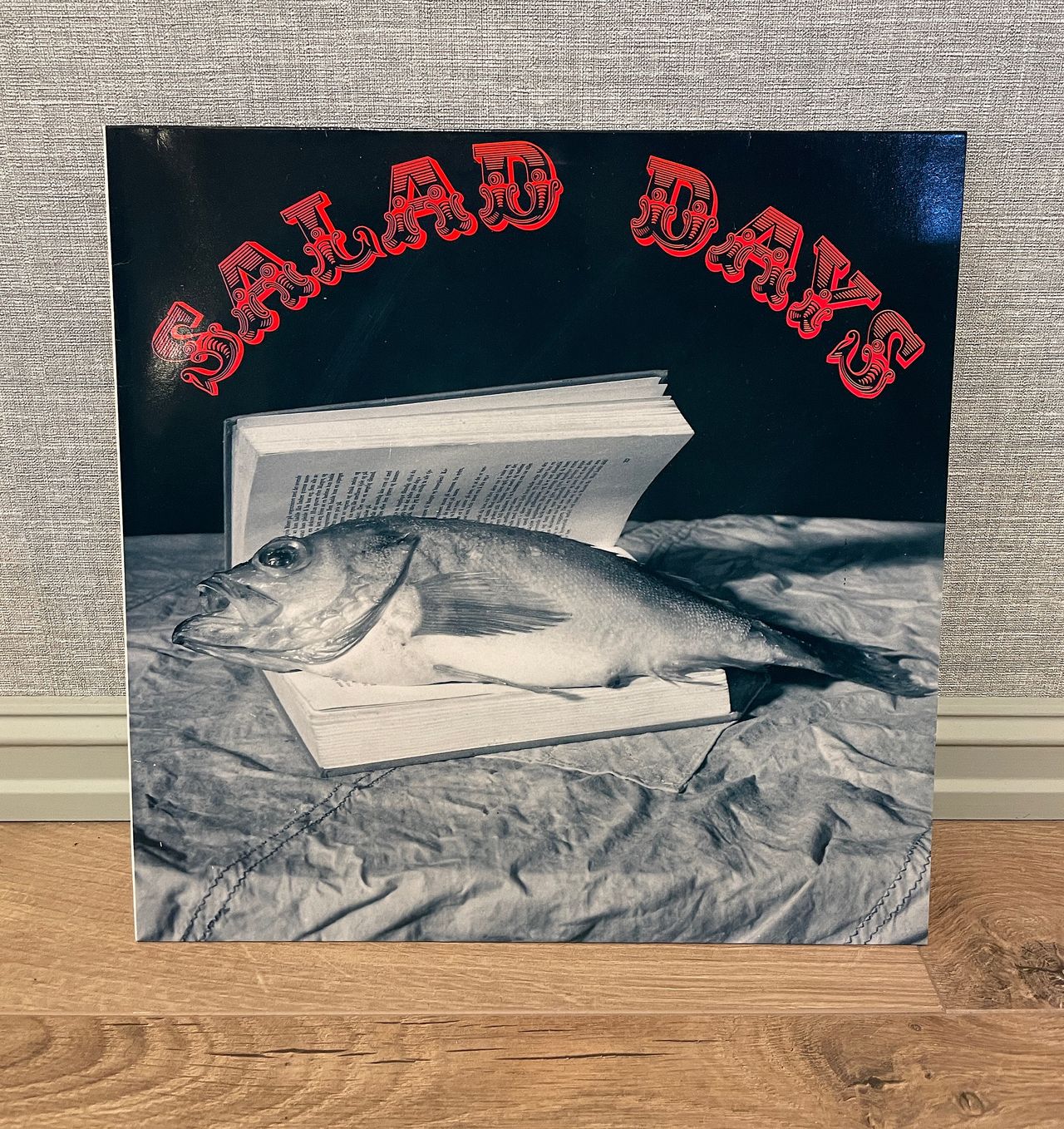 Salad Days Et Kapittel LP Til salgs