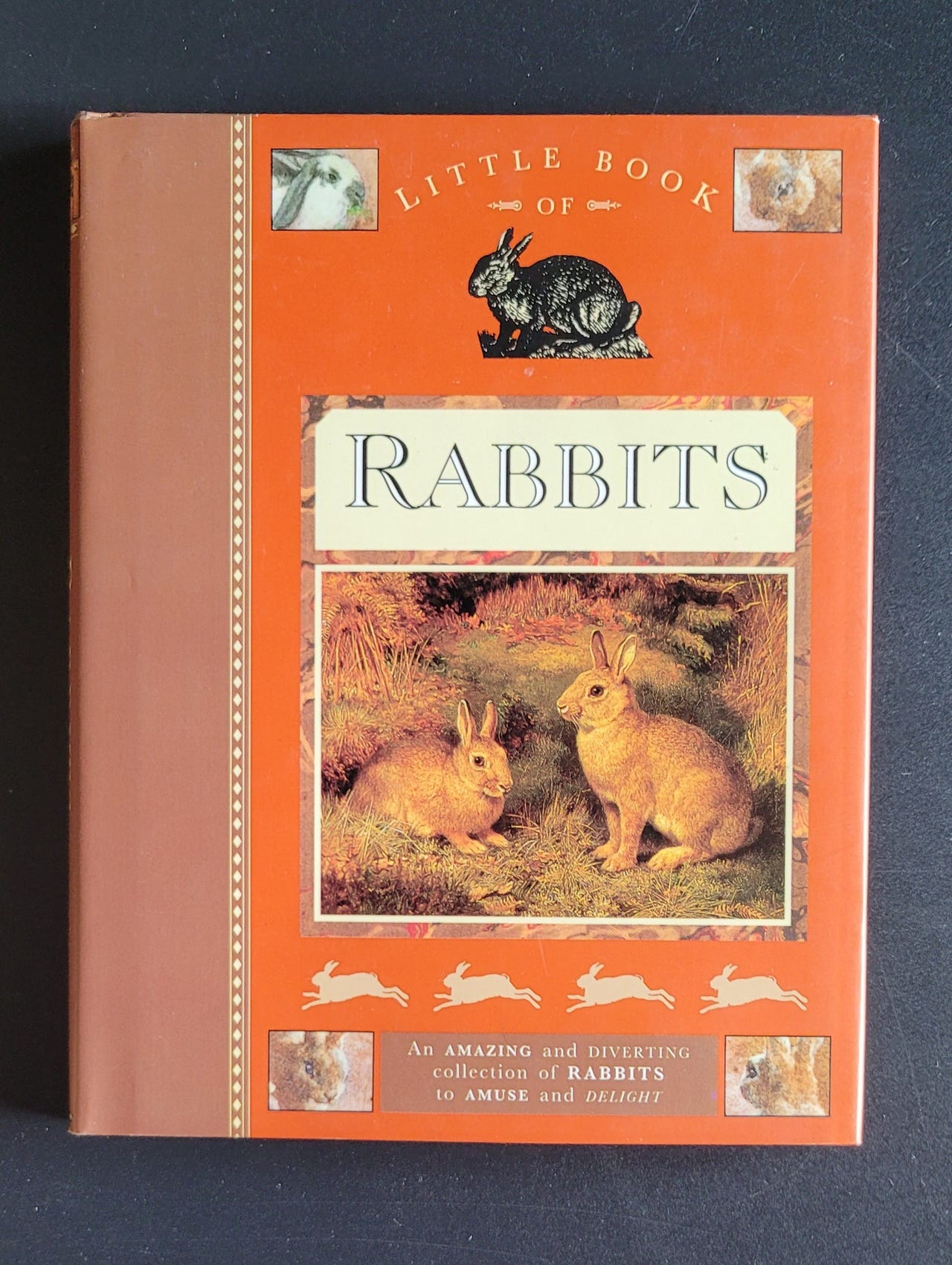 Raymus Rabbit Book Little book of Rabbits | FINN torget