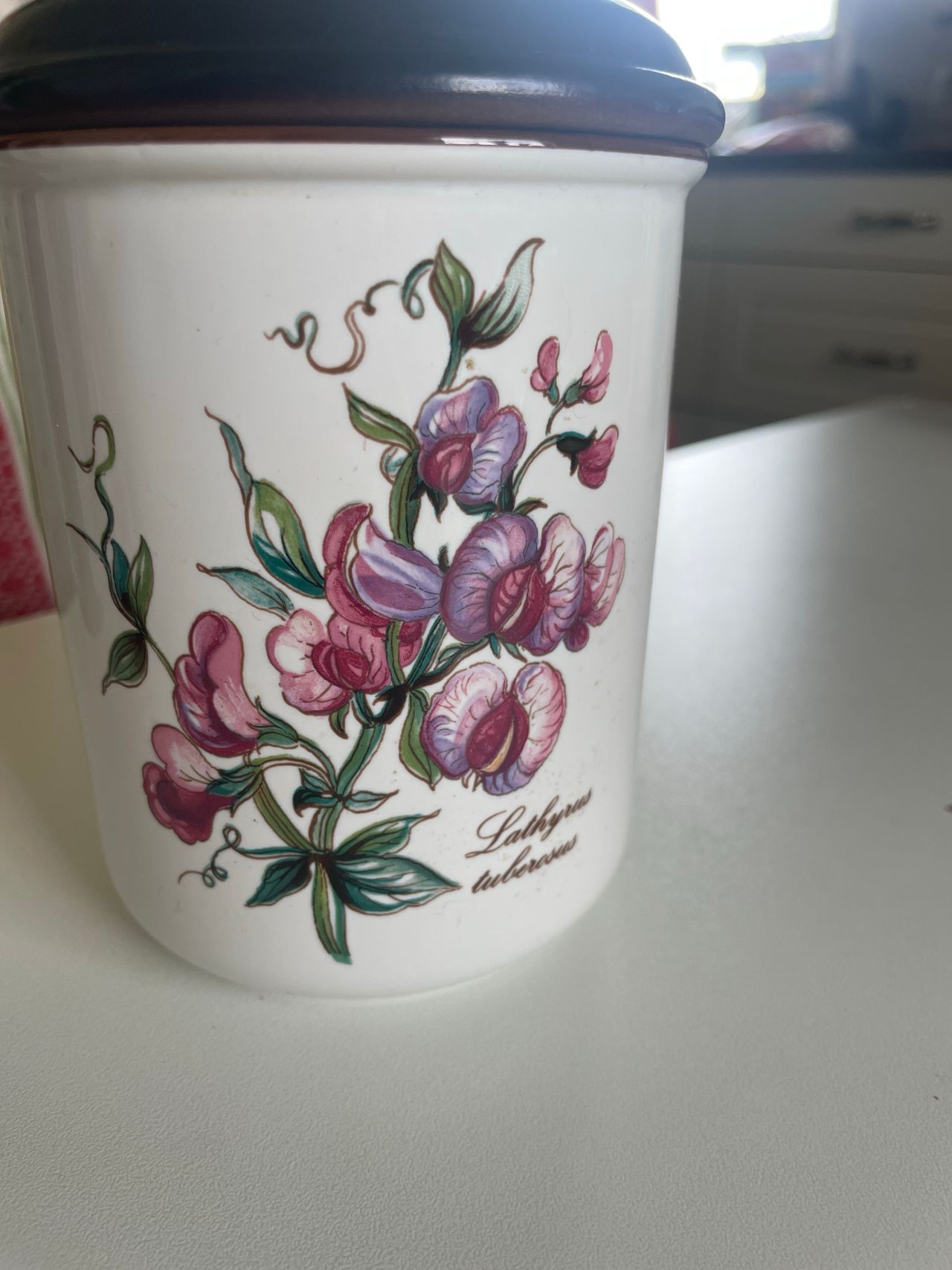 Villeroy & Boch Botanica krukke med lok FINN