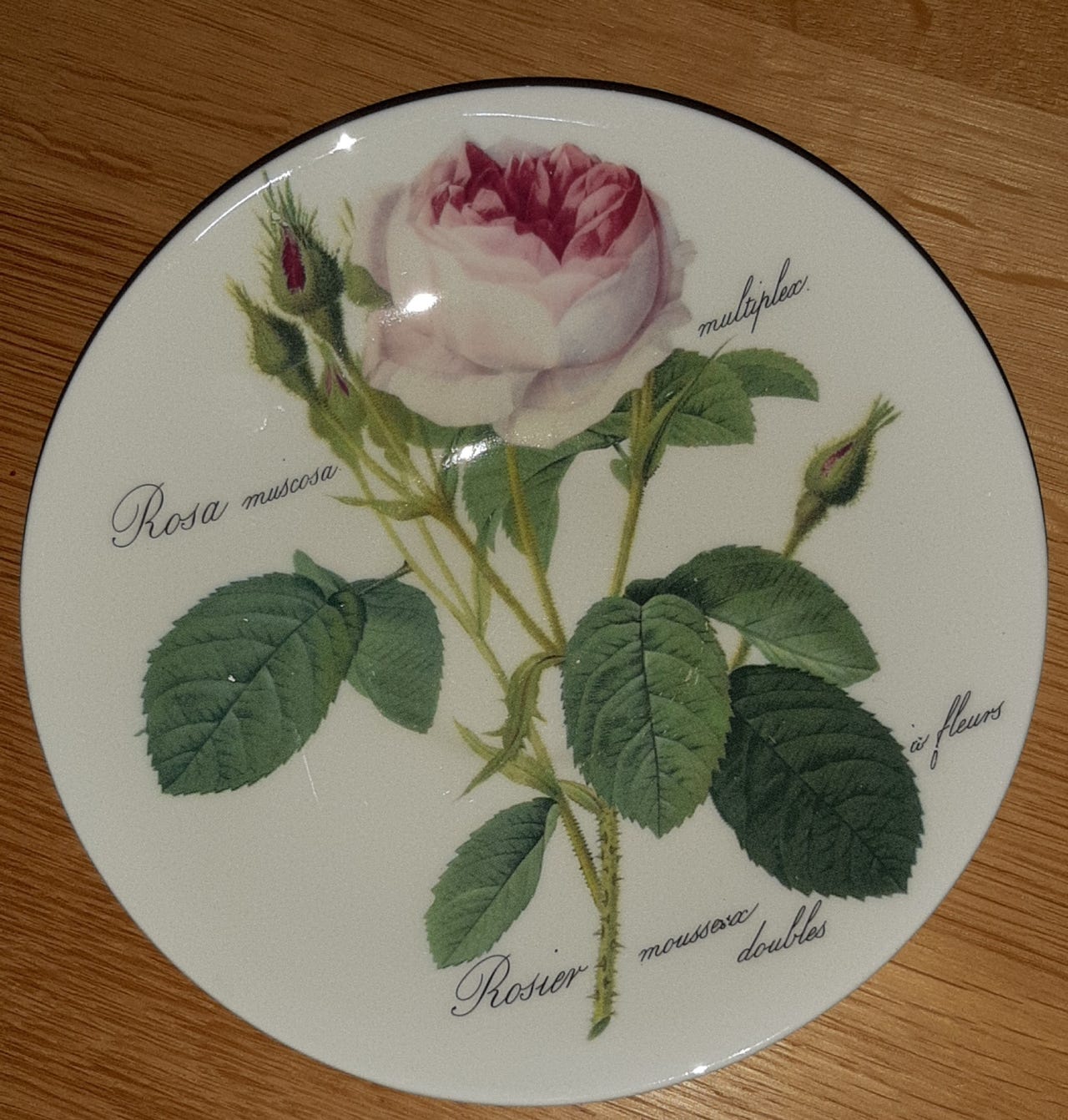 Skål Roy Kirkham Redoute Roses | FINN-torget