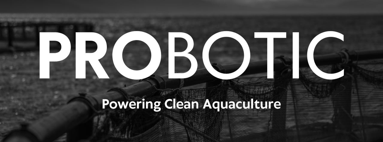 Bilde fra arbeidsgiver