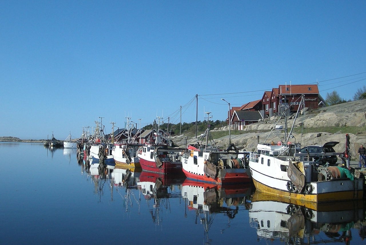 Anbefaler tur til Utgårdkilen, hvor du har fiskemottak. Kjøp ferske hvaler reker og kreps, fisket samme dag. Galleribilde