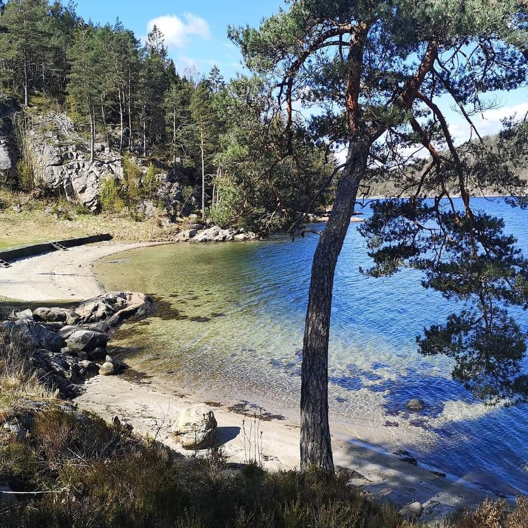 Nydelig sandstrand tilhørende hyttefeltet Galleribilde