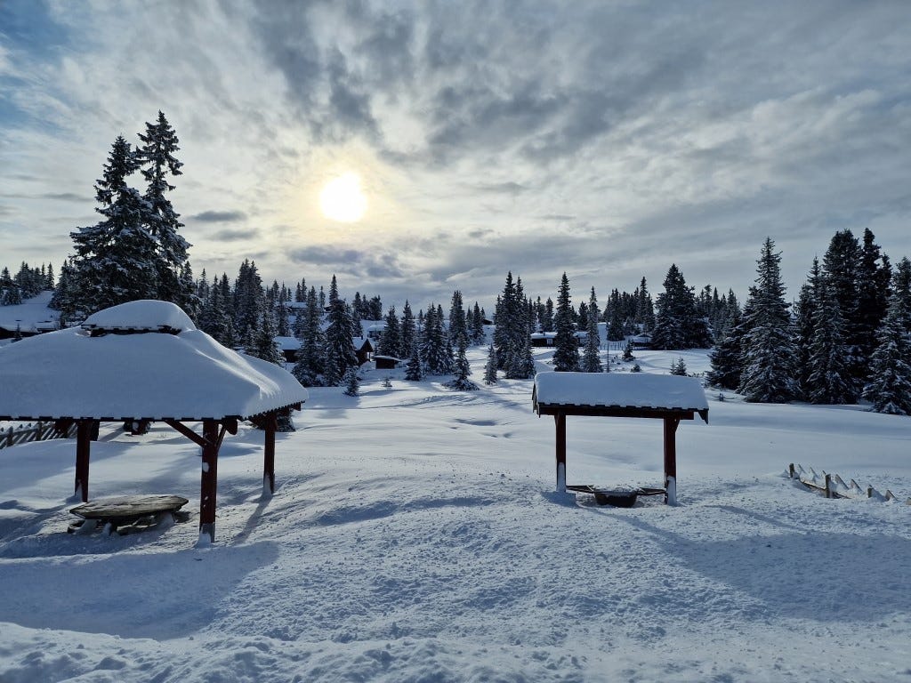 Snørike vintre Galleribilde