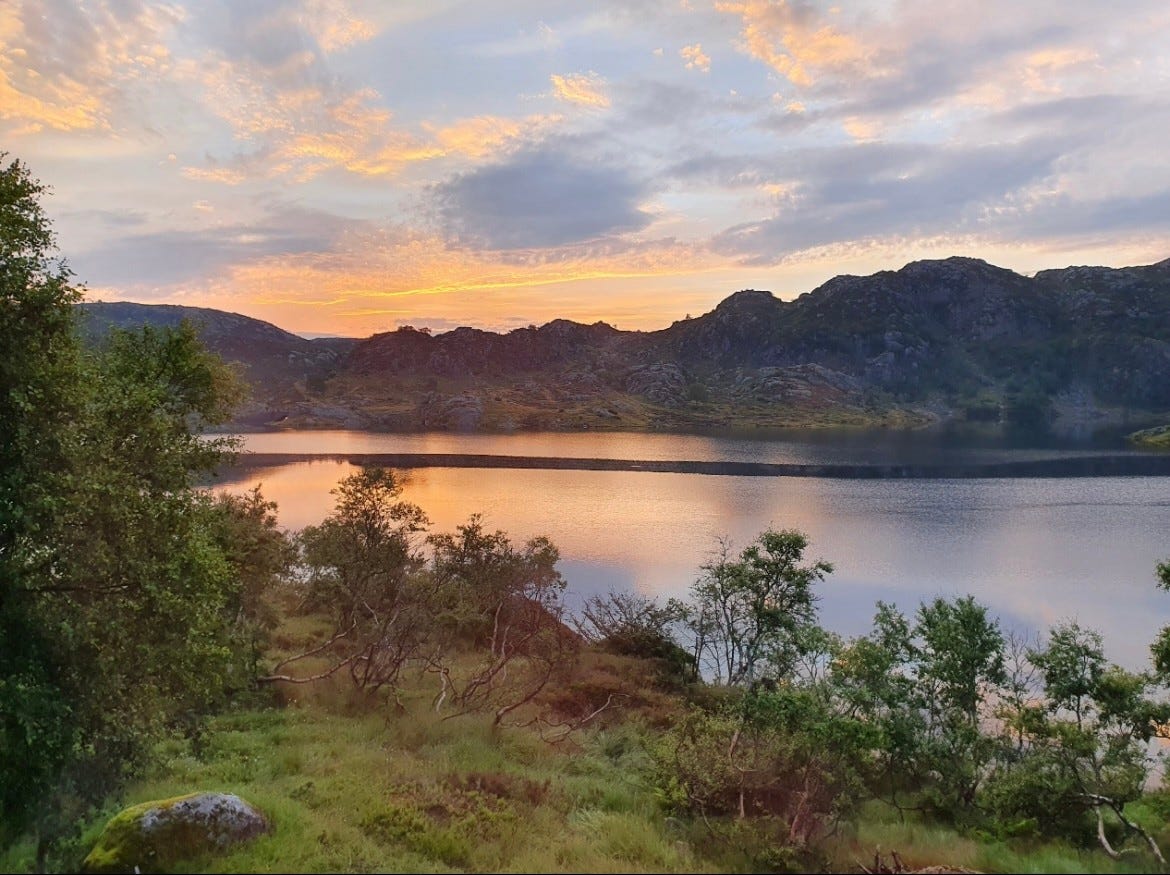 Fine turmuligheter Galleribilde