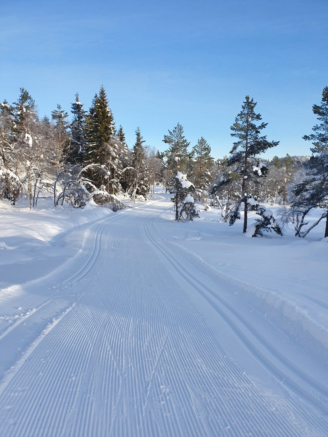 Starten av skiløypa ved hytta Galleribilde