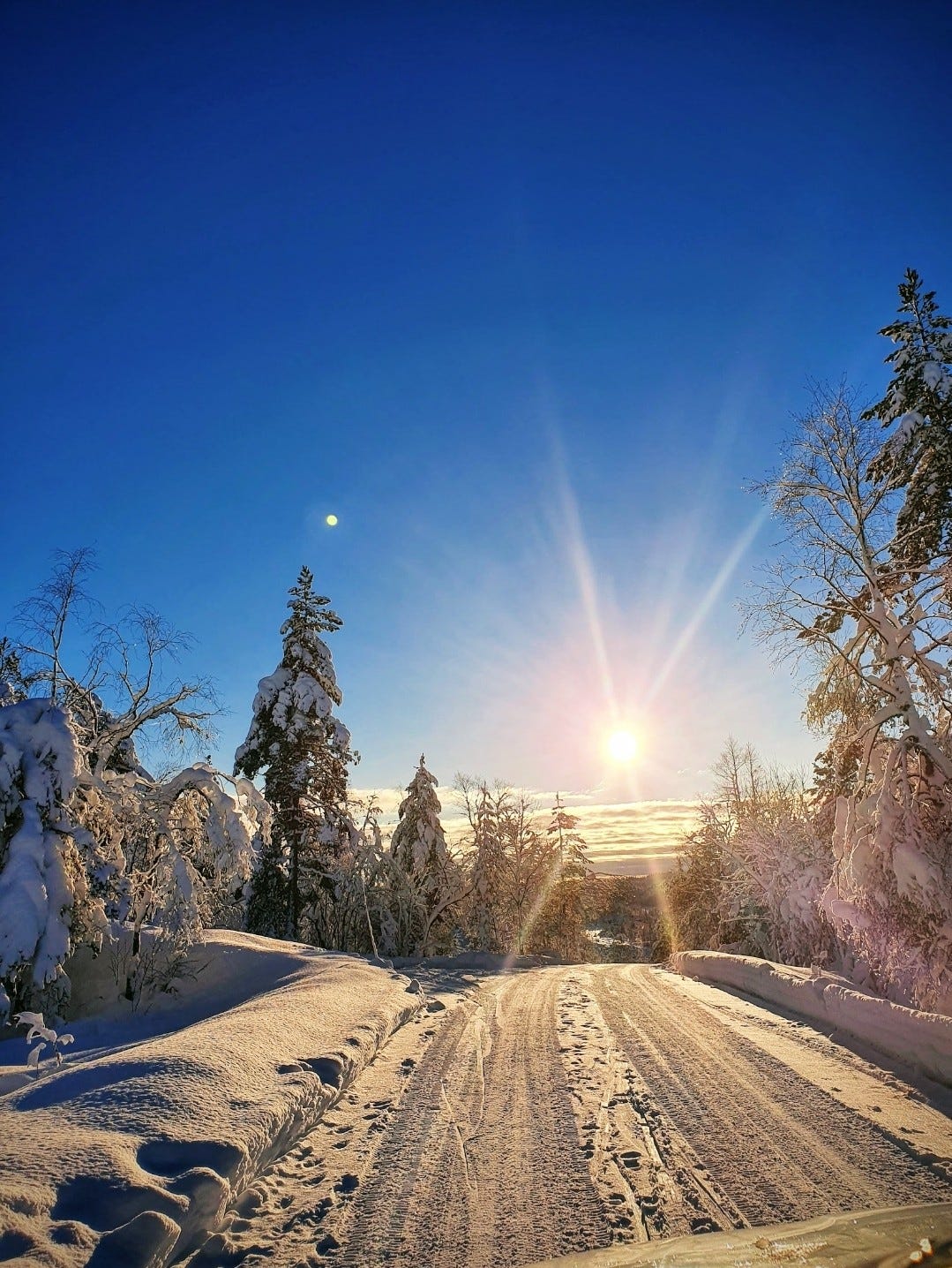 Stemningsbilde fra løypa Galleribilde