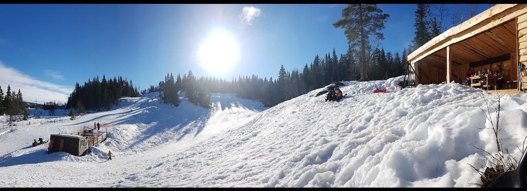 Solrikt i bakken på Høgås Galleribilde