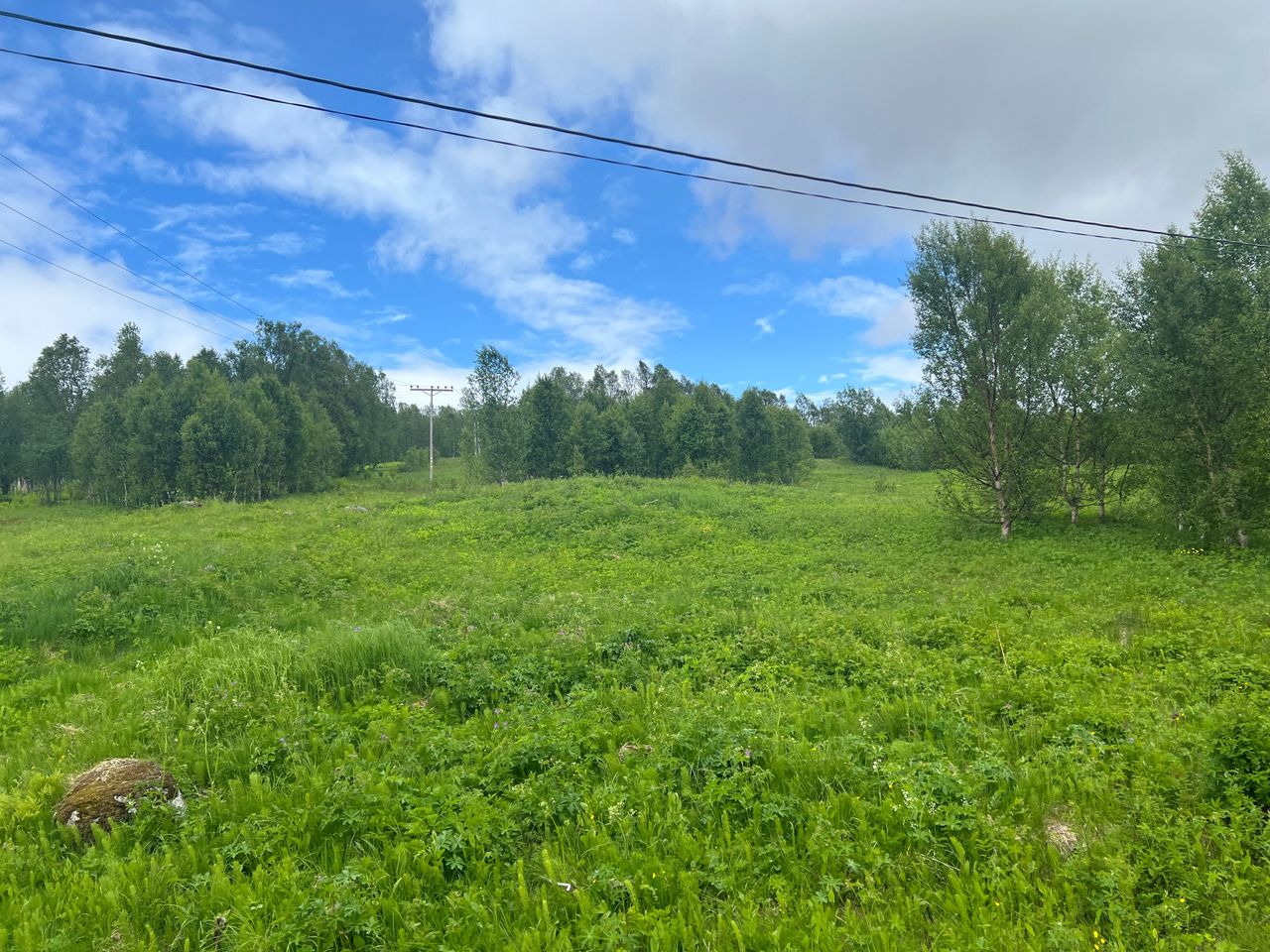 UBEBYGD UTMARKSEIENDOM - SVANDALEN - LAKSELVA | FINN eiendom