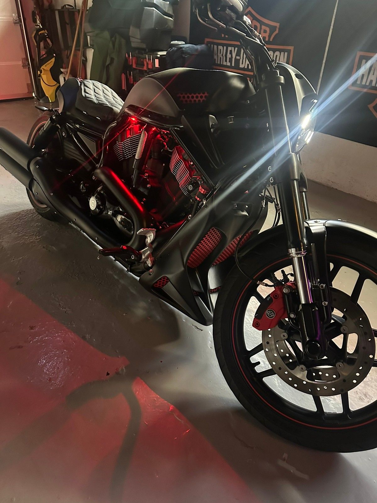 hd night rod custom
