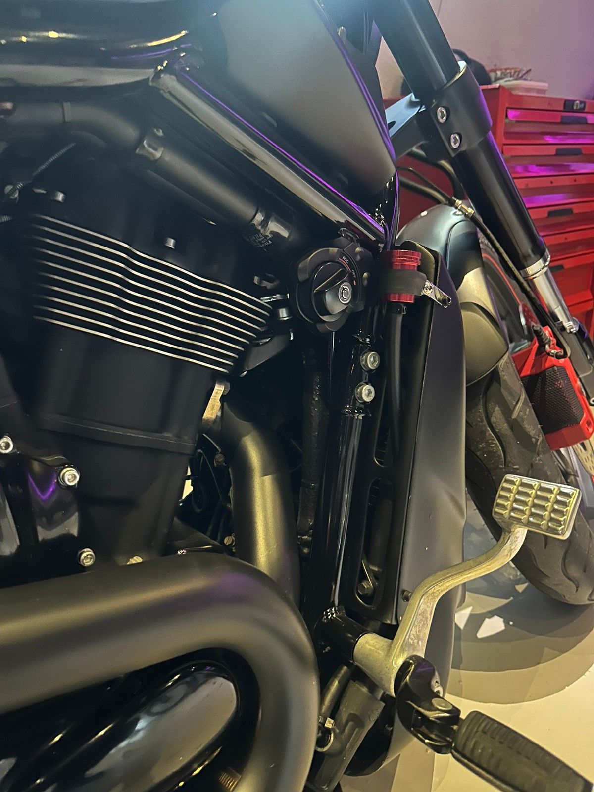 2015 harley night rod