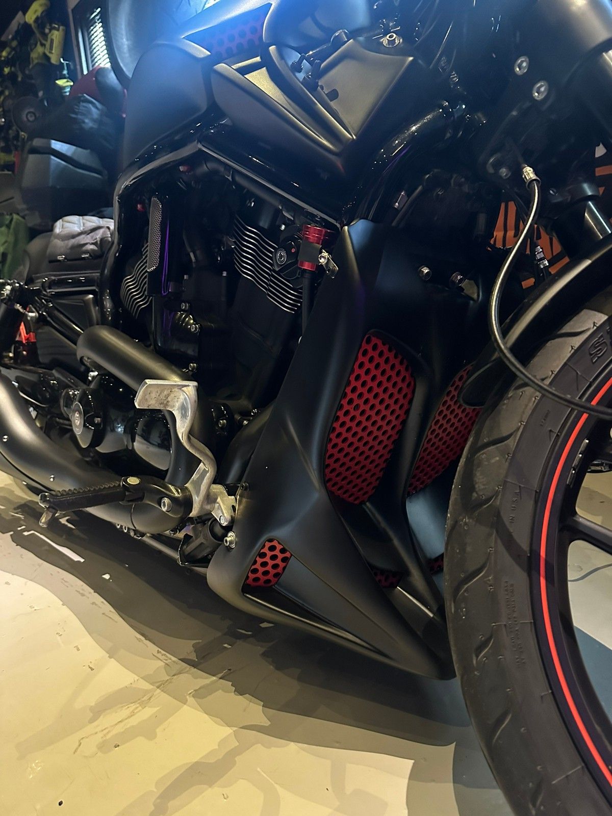 hd night rod custom