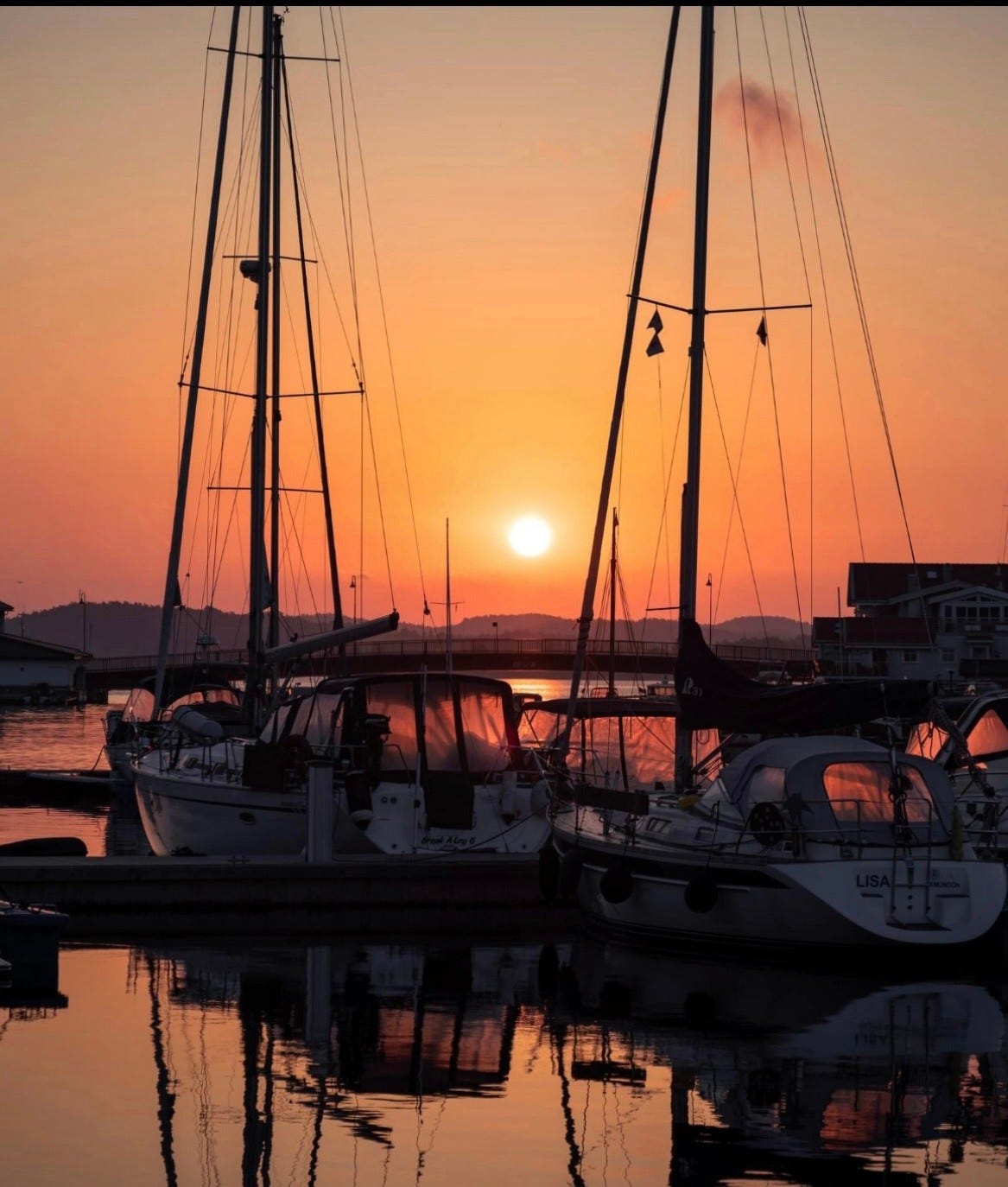 Sommerbilde fra Kragerø Galleribilde