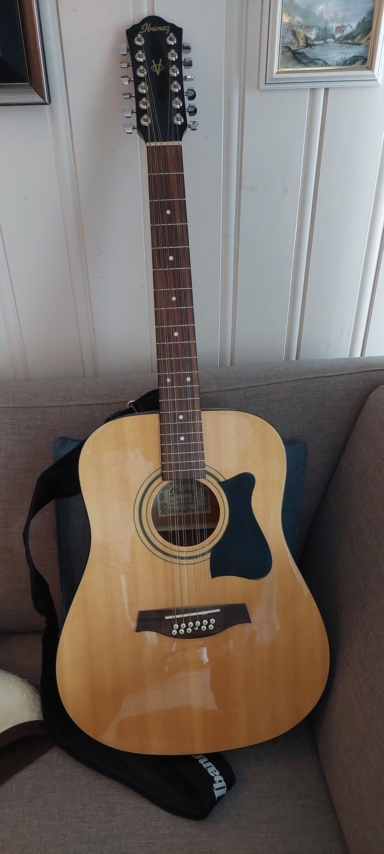 Ibanez V7212E NT 12 strenger FINN torget