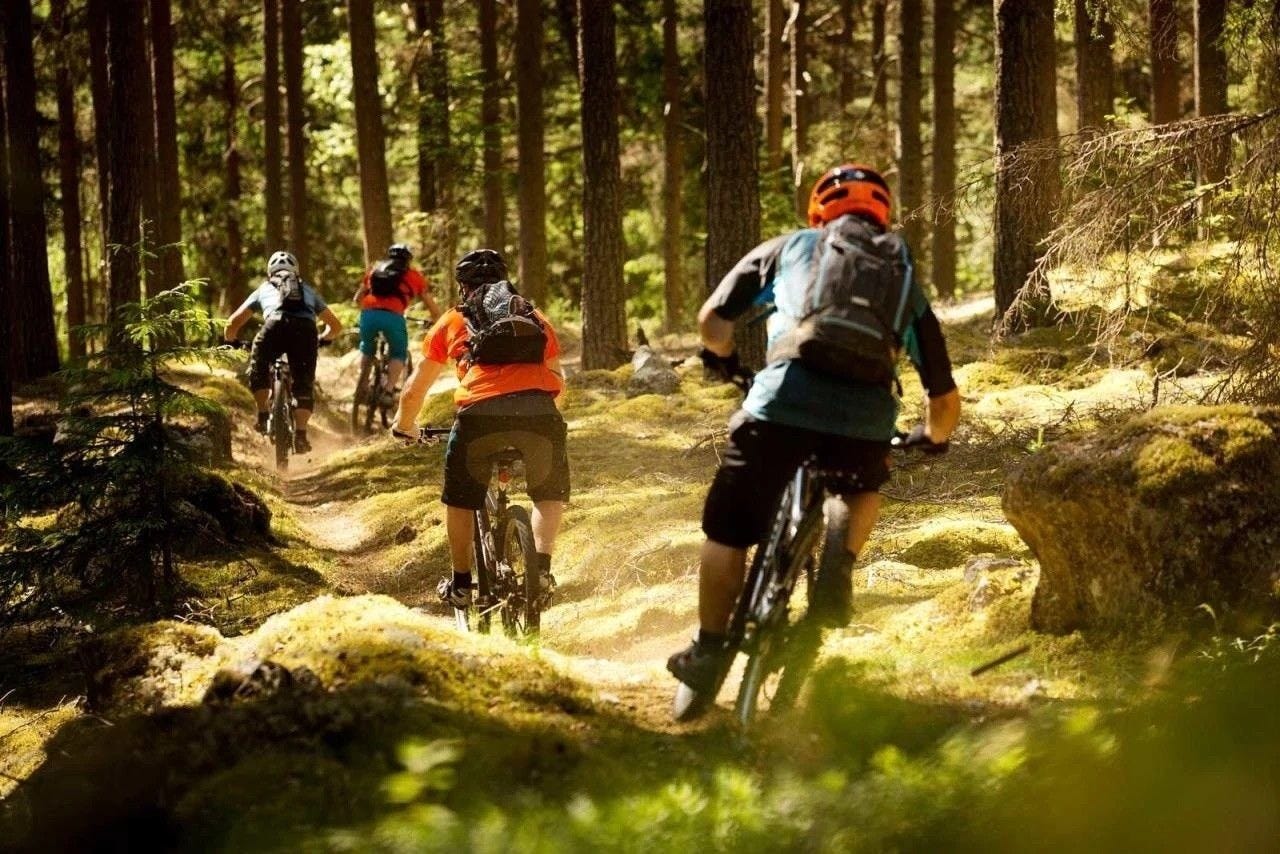 fra sykkelstier Galleribilde