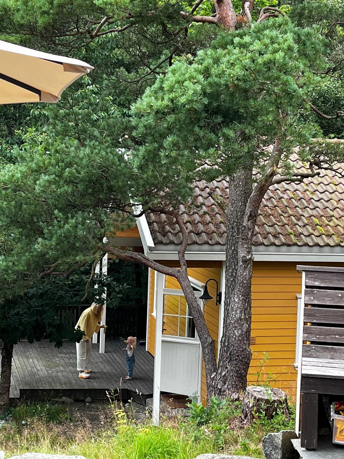 Anneks fra hovedhytte Galleribilde