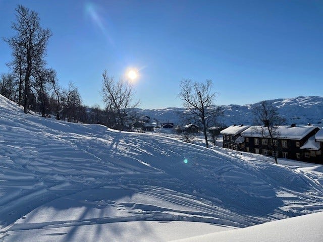 Flott prosjektert hytte på sørvest vendt, solrik tomt midt i trekket på Haukeli Skisenter – ski in/out!