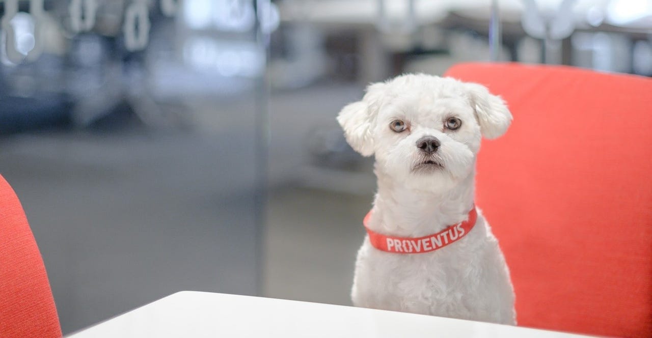 Bilde fra arbeidsgiver