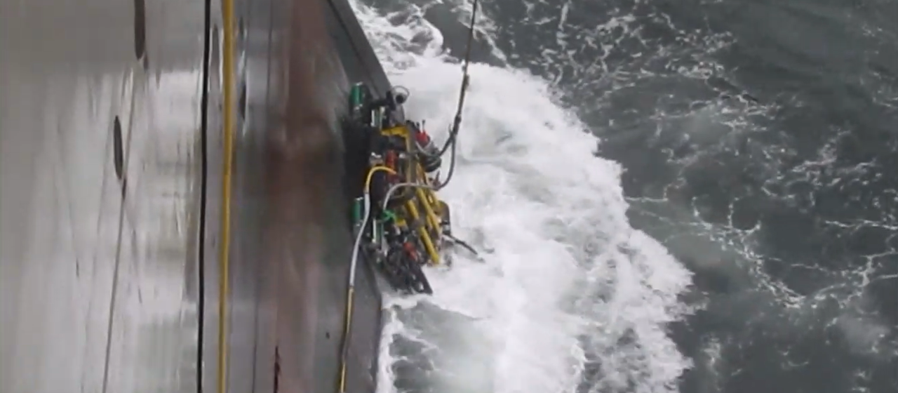 Bilde fra arbeidsgiver