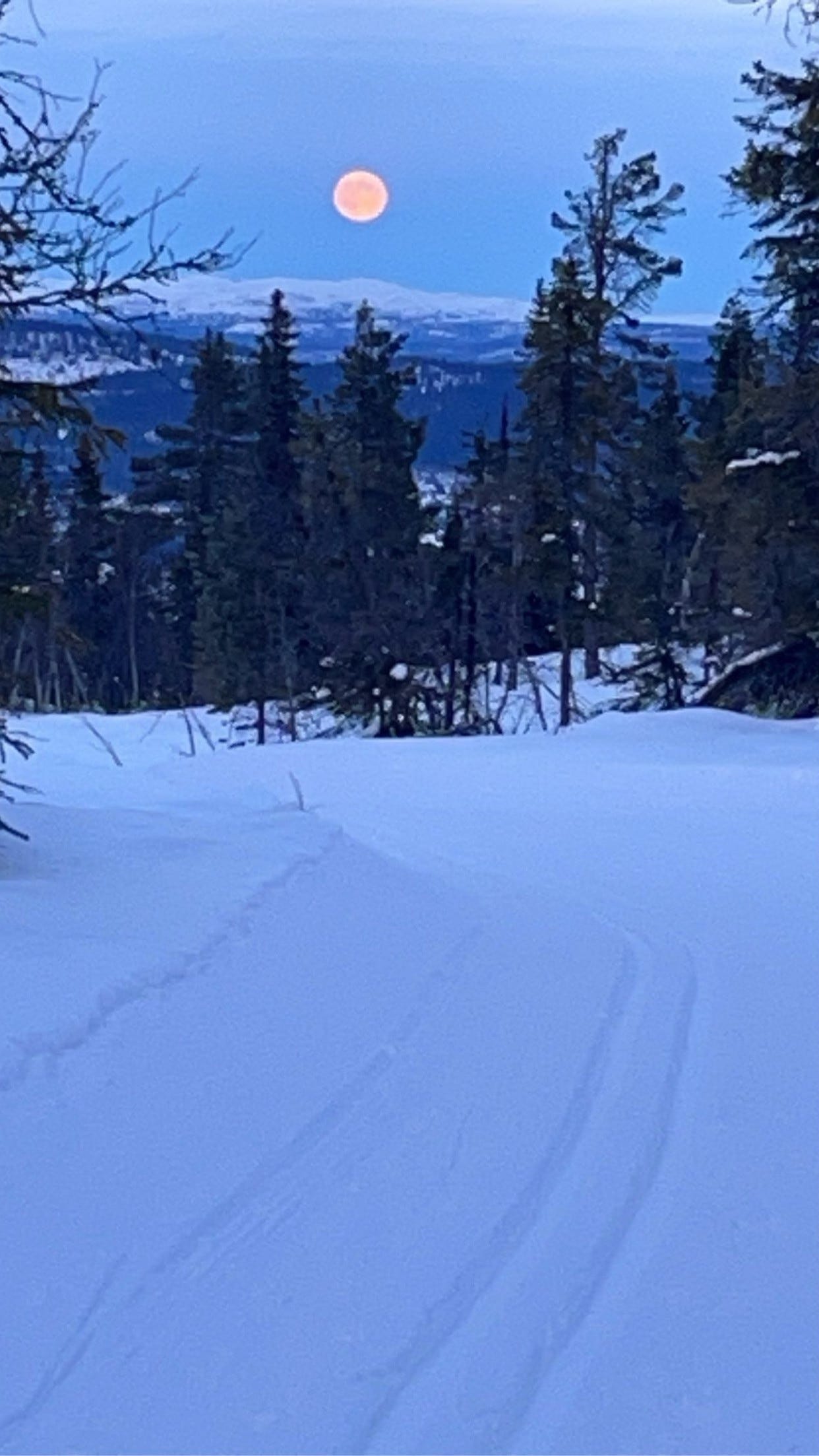 Måneskinnstur Galleribilde