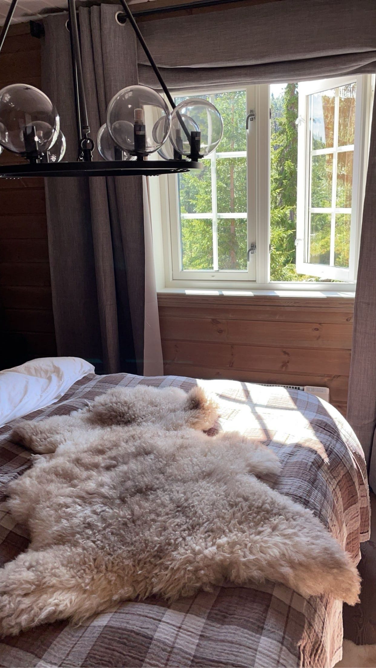 Nydelige morgener med frisk fjell luft Galleribilde
