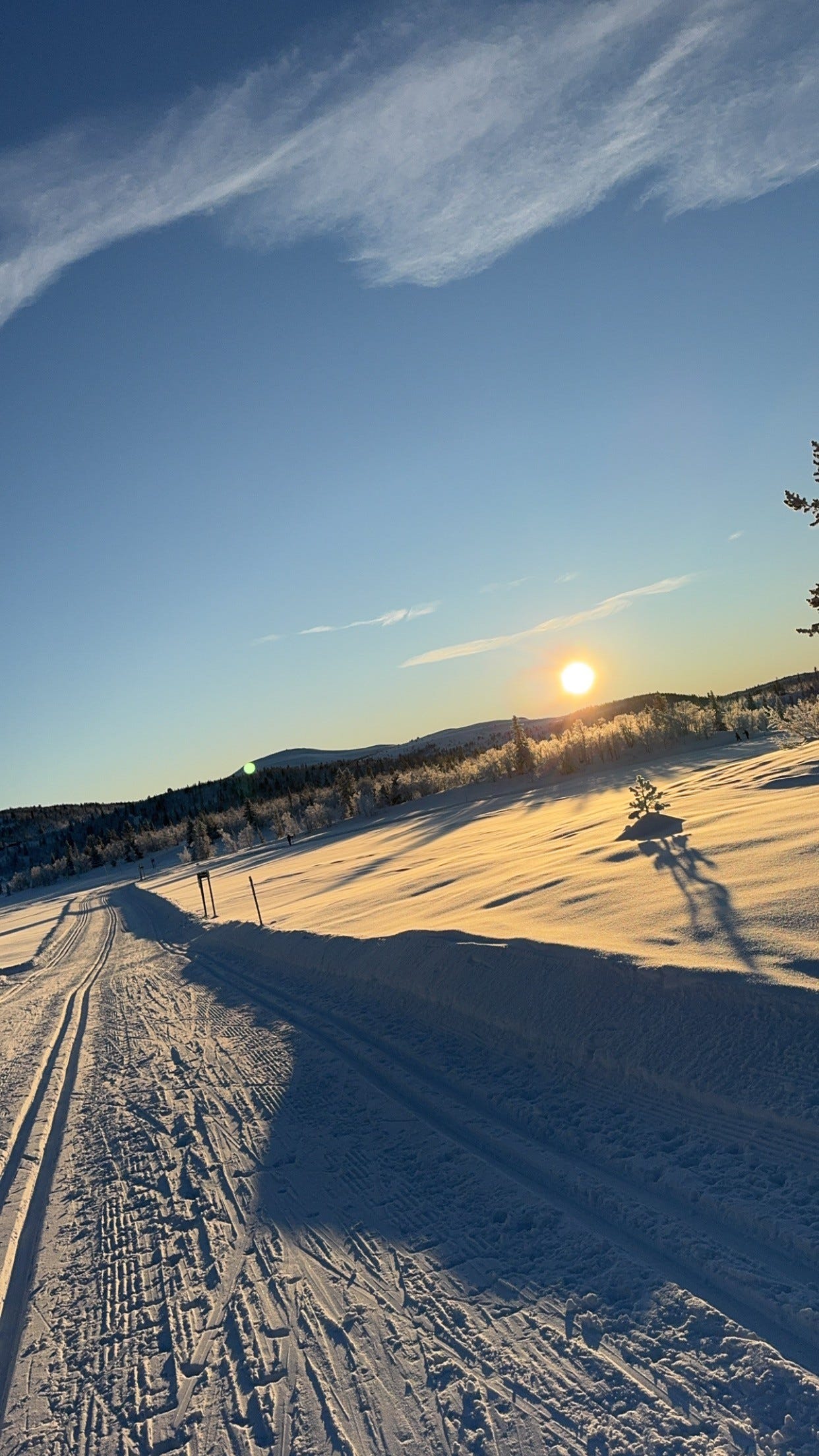 Rett utenfor hytteveggen kommer du deg rett i det store langrennsnettet til skogs og snaufjellet Galleribilde