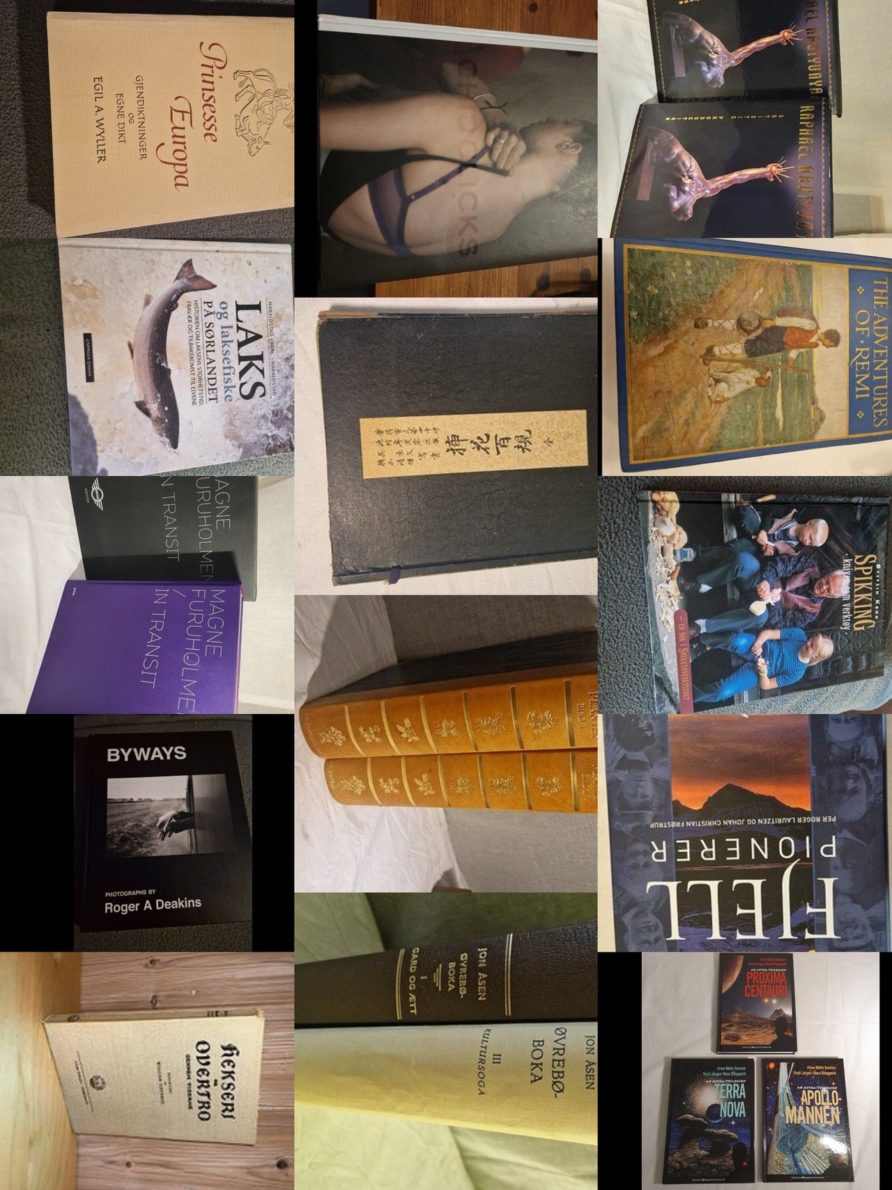 Diverse bøker selges fra bruktbutikk | FINN-torget