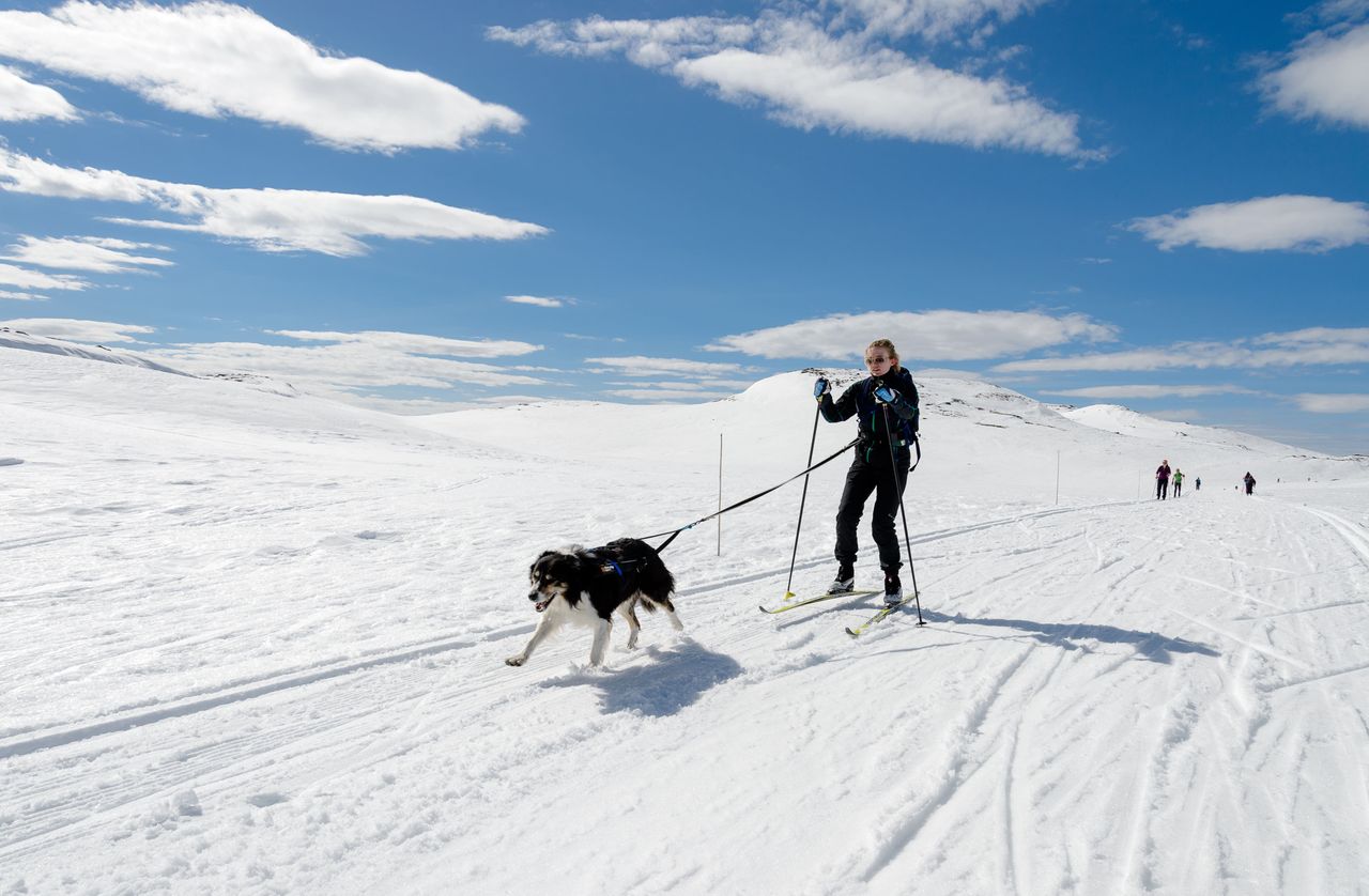 Ny planlagt/prosjektert hytte på Seljestad – Langedalsåsen T49 – Hytte Utsikten 88