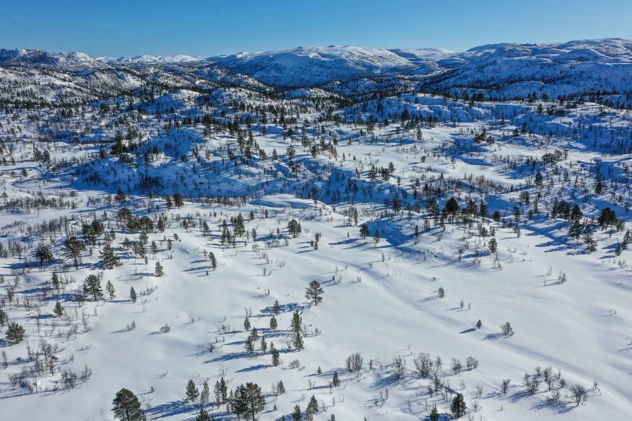 Ny planlagt/prosjektert hytte på Vågsli – Botn Aust T42 – Hytte Utsikten 88