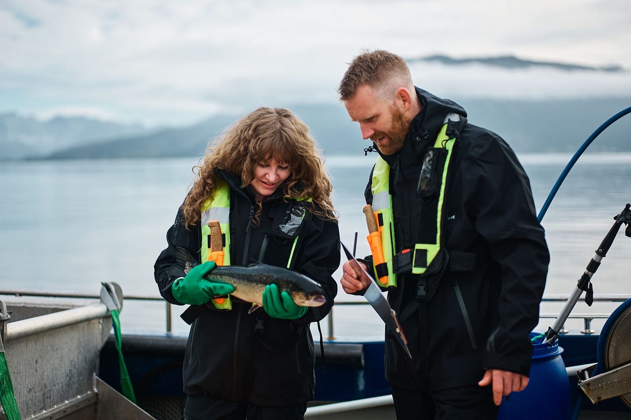 Bedriftens profilbilde