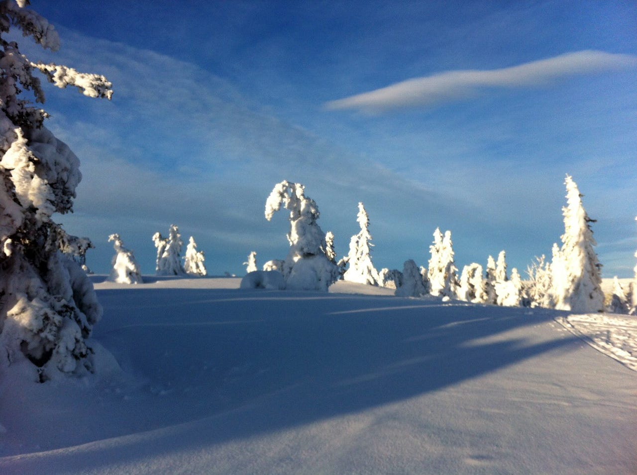 Bilde fra arbeidsgiver