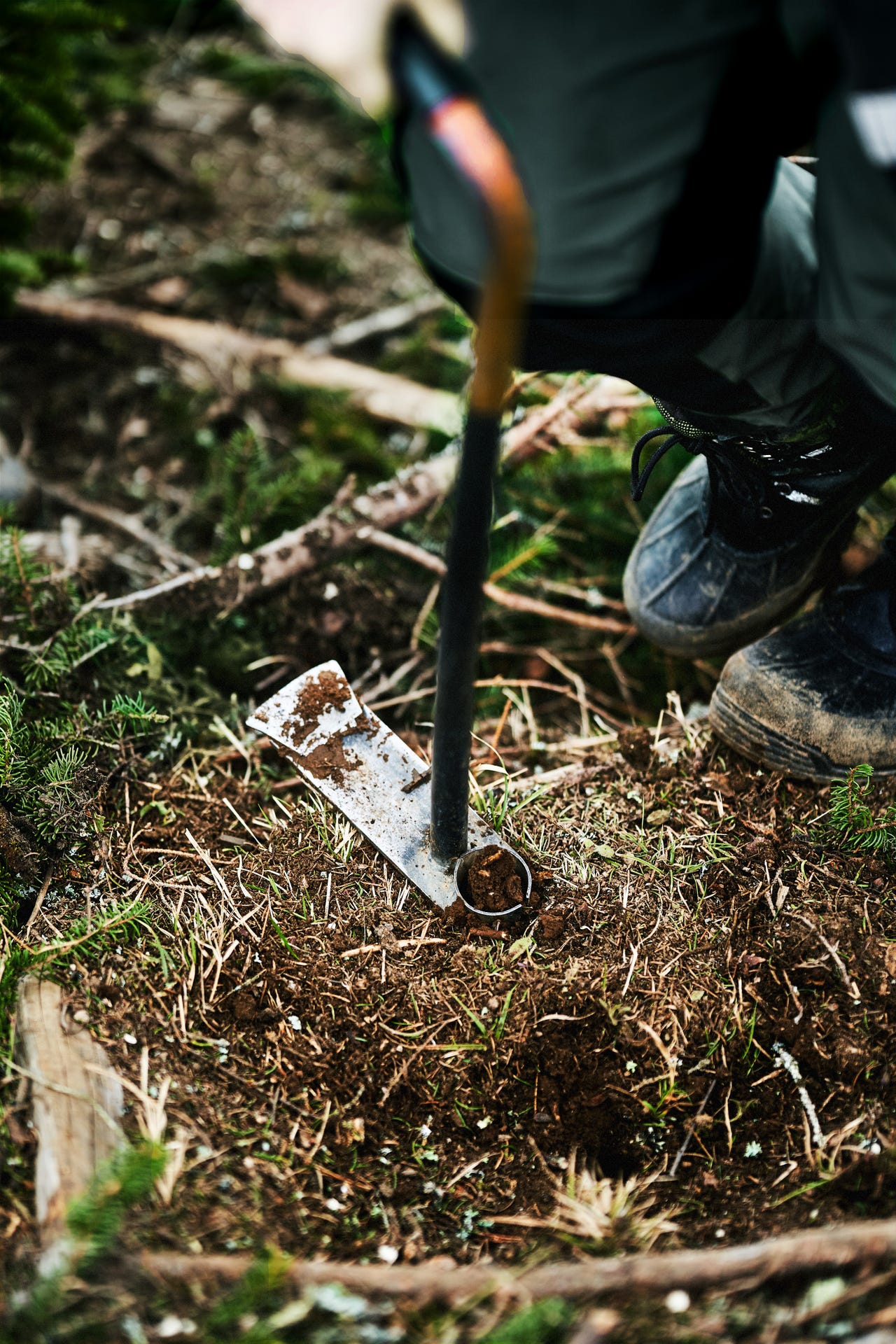 Bedriftens profilbilde