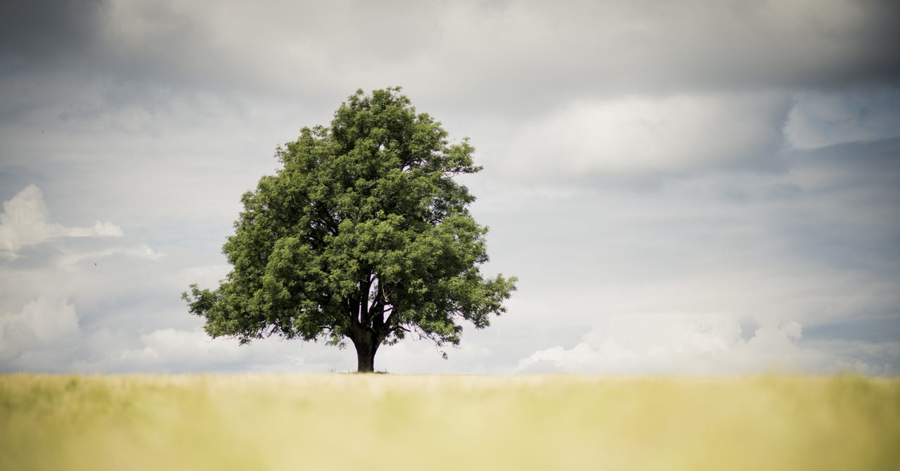 Bilde fra arbeidsgiver