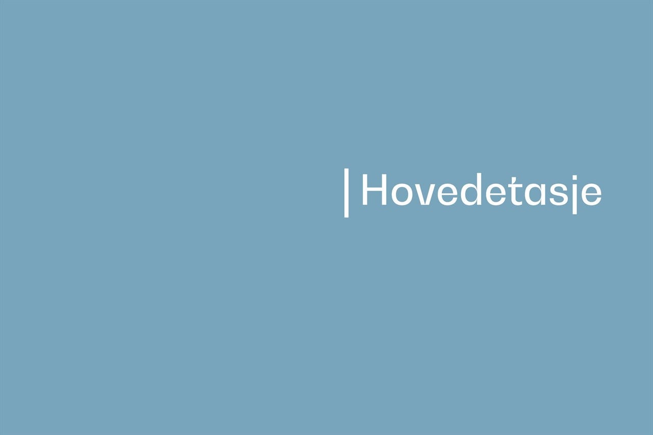 Hovedetasje